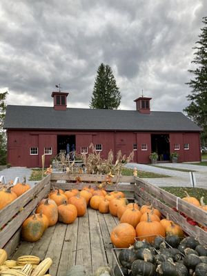 Balderdash Cellars by null