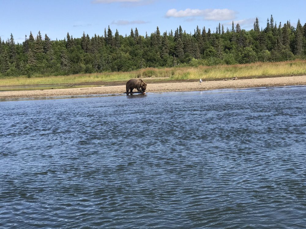 KATMAI ADVENTURE LODGE Updated September 2024 1000 Rapids Camp Rd