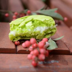 The Baker's Daughter - Pistachio macarons