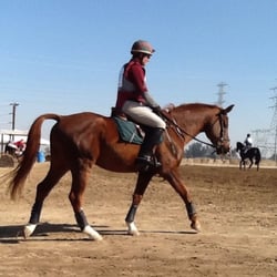 Phoenix Farm - John Strassburger preparing to ride cross country on Bravo's First Class (Boogie).