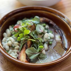 Homestead - Polipo with spring allium and bean ragu