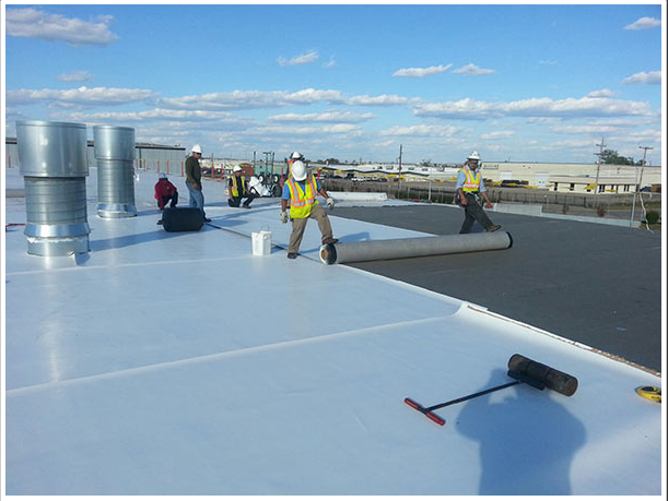 Slide of Dynamic National