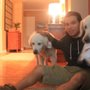 Photo of Paws Syndicate