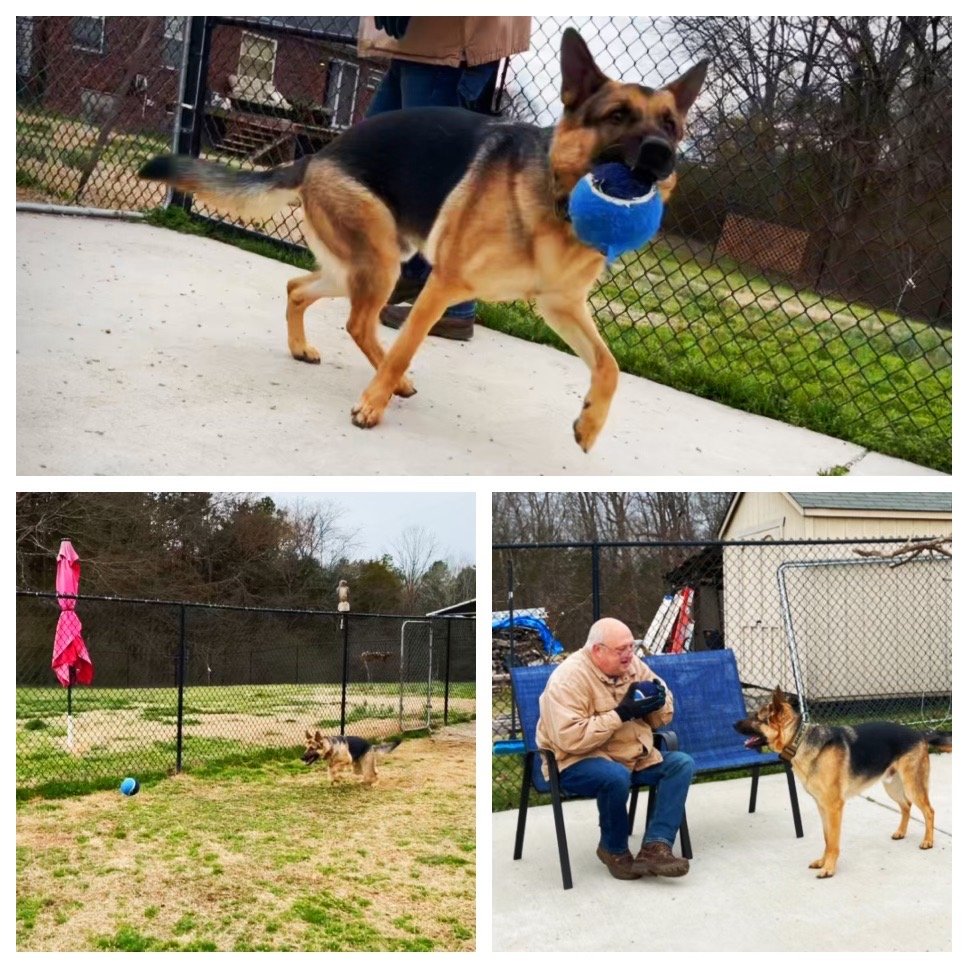 PET PEEPS BOARDING, DAYCARE & TRANSPORT Updated May 2024 10 Photos