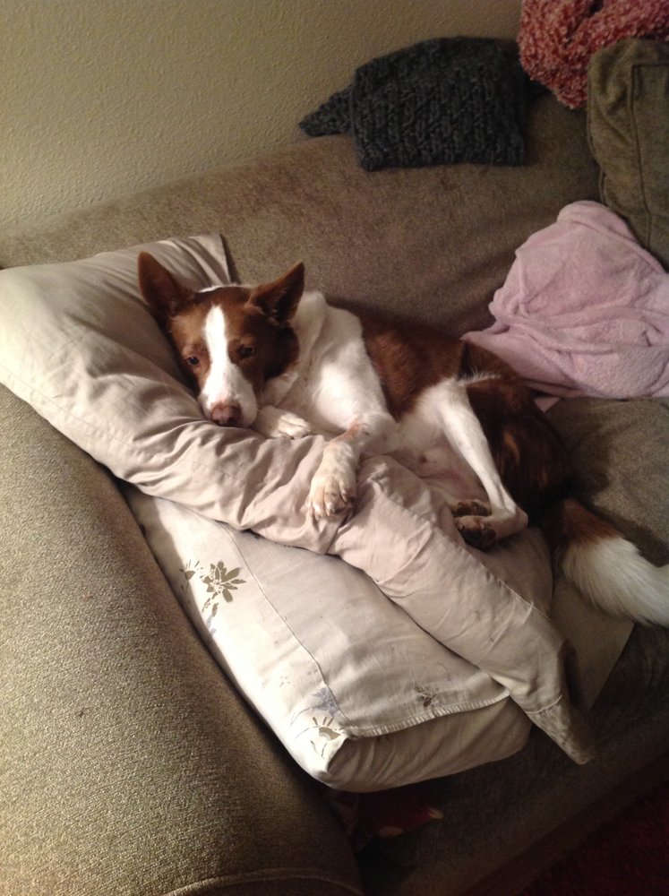 RIVER VALLEY GATEWAY Updated September 2024 Grand Junction