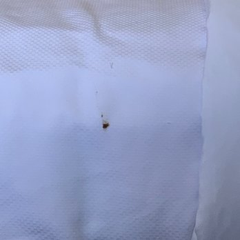 Econo Lodge - Animal poop in our sheets? - Hotels Near Me - Winter Haven, Florida Econo Lodge - Animal poop in our sheets? - Hotels Near Me - Winter Haven, Florida