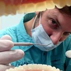 Paradise Dental Care - Best Dentist in Key West