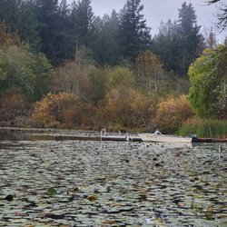 Camp Lakeview