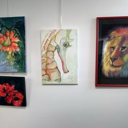 Art and Senior Centers
