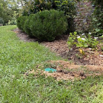 Four Seasons Pest Control - Pest Control Near Me - Danville, Virginia