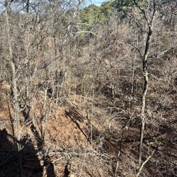 Oak Crest Cottages and Treehouses - View from Treehouse #11 deck