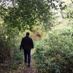 Moseley Bog Nature Reserve