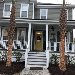 Covert Lawns - Palm tree install with fresh mulch. We offer palms in all sizes and varieties.