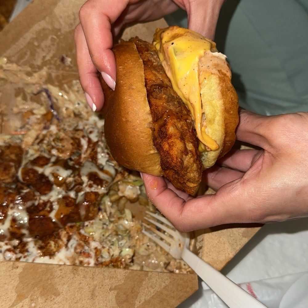 Hotbox Chicken - Mild Chicken Sandwich with cheese and Dynamite fries - Halal Near Me - Anaheim, California Hotbox Chicken - Mild Chicken Sandwich with cheese and Dynamite fries - Halal Near Me - Anaheim, California