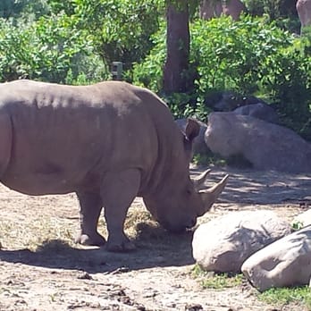 Toronto Zoo - Zoos Near Me - Toronto, Ontario Toronto Zoo - Zoos Near Me - Toronto, Ontario