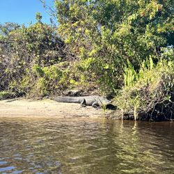 Kayak Eco Tours