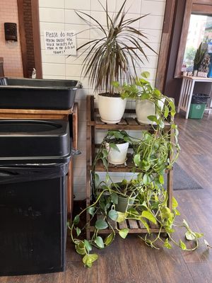 Take Two Cafe by null