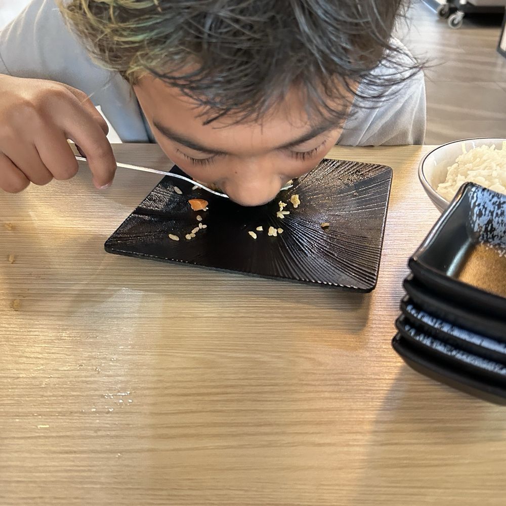 sakura sushi - My kid licking his plate! He don't want any of it to go to waste! - Sushi Bars Near Me - Lehi, Utah sakura sushi - My kid licking his plate! He don't want any of it to go to waste! - Sushi Bars Near Me - Lehi, Utah