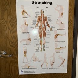 Stretching Anatomy Diagram Stretching Anatomy Diagram