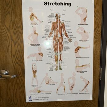Laguna Healing Massage - Stretching Anatomy Diagram - Massage Therapy Near Me - Elk Grove, California Laguna Healing Massage - Stretching Anatomy Diagram - Massage Therapy Near Me - Elk Grove, California