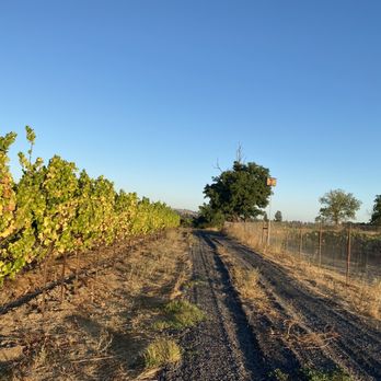 Comstock Wines - a dirt road in a vineyard - Wineries Near Me - Healdsburg, California Comstock Wines - a dirt road in a vineyard - Wineries Near Me - Healdsburg, California