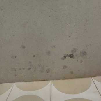 RGE Stone - Mold due to an improperly sealed limestone shower bench - Building Supplies Near Me - Anaheim, California RGE Stone - Mold due to an improperly sealed limestone shower bench - Building Supplies Near Me - Anaheim, California