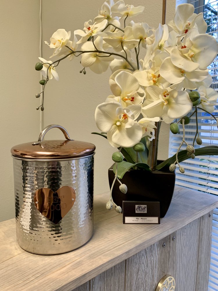 TOY SAVOY GROOMING BY OLGA TEMP. CLOSED Updated June 2024 10