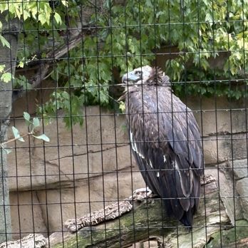 Lincoln Park Zoo - Zoos Near Me - Chicago, Illinois Lincoln Park Zoo - Zoos Near Me - Chicago, Illinois