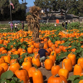 Lane Farms - Fruits & Veggies Near Me - Santa Barbara, California