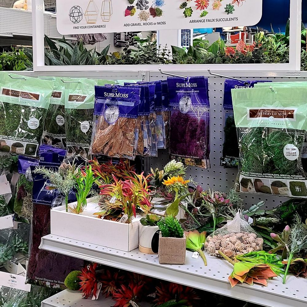 At Home - Create a terrarium! - Home Decor Near Me - Loveland, Ohio At Home - Create a terrarium! - Home Decor Near Me - Loveland, Ohio
