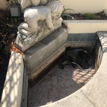 Adeedo - They didn't leave any water standing for misquotes to breed!  They even cleaned out the dead leaves and junk that gets in there!!! - Plumbing Near Me - Los Angeles, California