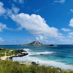 Hawaii Turtle Tours