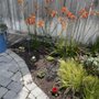 Dr Landscaping