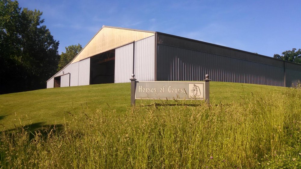 HORSES OF COURSE RIDING SCHOOL Updated August 2024 13 Photos