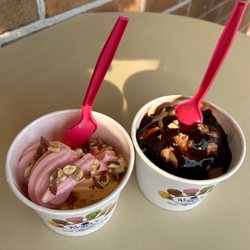 Port Jefferson Frigate - Strawberry Lemon Sorbet and Chocolate Frozen Yogurt with dark chocolate fudge sauce
