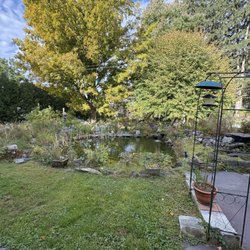 Haven Guest House Bed & Breakfast - Koi pond