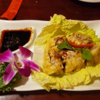 Thai Erawan - Steamed dumplings was just okay - Thai Near Me - Ormond Beach, Florida