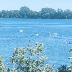 Lake Shetek State Park