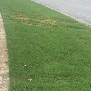 JB’s Landscaping - More ruts in the front yard. - Landscaping Near Me - Springdale, Arkansas