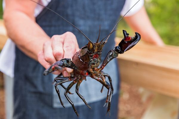 Blue Manna Bistro by null