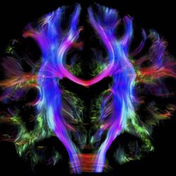 Apex Spine and Neurosurgery