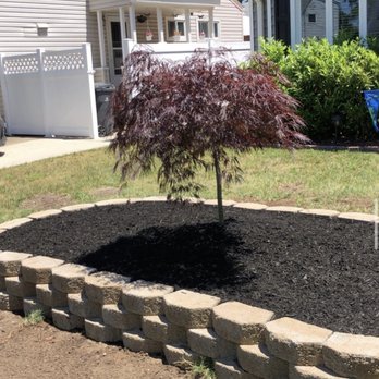 Dechert Landscape - a small tree in a flower bed - Lawn Services Near Me - Old Bridge, New Jersey