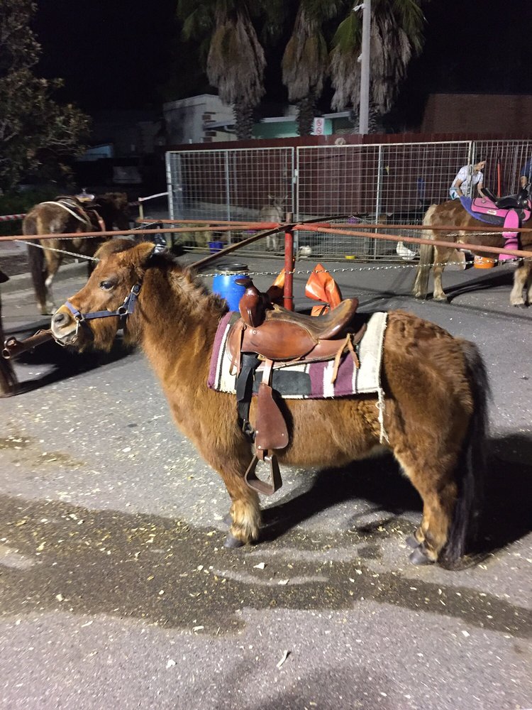 FESTIVAL OF LIGHTS 17 Photos 38434 5th Ave, Zephyrhills, FL Yelp