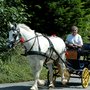 Attelage du Mont Picheny
