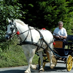 Attelage du Mont Picheny
