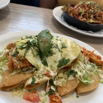 Hash Kitchen Arcadia - Potato tacos and Chilaquiles - Breakfast & Brunch Near Me - Phoenix, Arizona