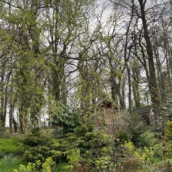 Inglewood House & Spa - Hotels Near Me - Clackmannanshire, CLK