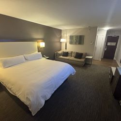 Provo Marriott Hotel & Conference Center - King bed