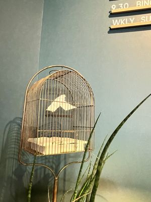 Philosophers & Fools by null