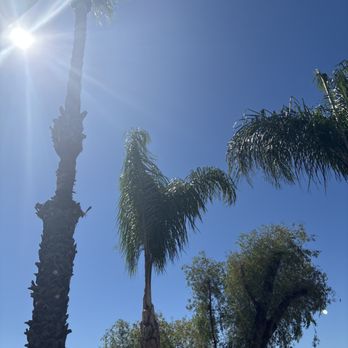Golden Oaks Tree Care - Tree Services Near Me Golden Oaks Tree Care - Tree Services Near Me